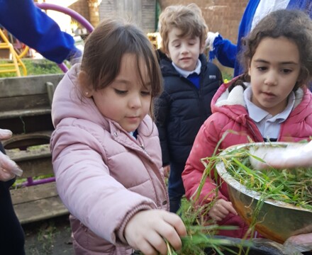 Mud kitchen