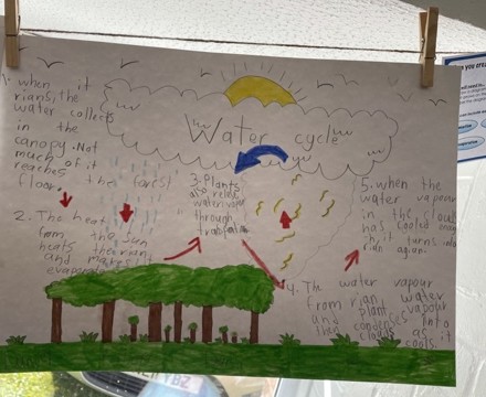 Geography3